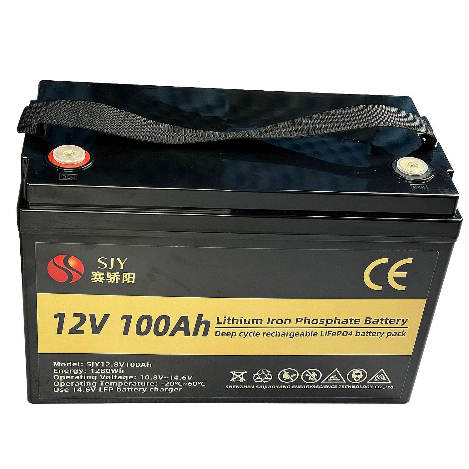 12V-100A-LIFEPO4-2