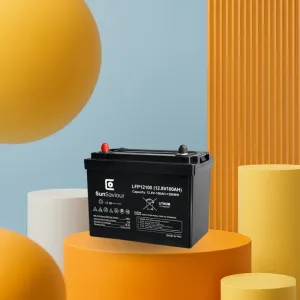 SunSaviour Lithium Battery Series 12.6V 100Ah